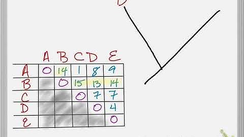 Bio Brief: Phylogenetics—Creating Trees from Molecular Data