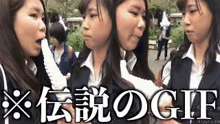 【神回】伝説のGIF動画がツッコミどころ満載すぎるwwwwww【おもしろ動画】⑨