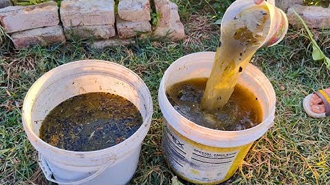 No Chemicals, Full of Microbes! This Ancient Liquid Made My Garden EXPLODE With Fruit!