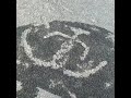 Revealing one of the petroglyphs at Safe Harbor