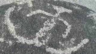 Revealing one of the petroglyphs at Safe Harbor