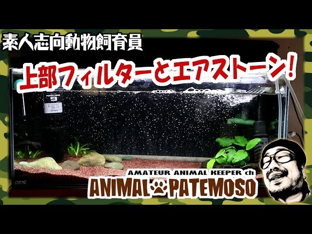 Installing a top filter and air stone in a 60cm slim aquarium