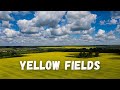 Рапсовые поля Тульской области Кондуки река Осетр / Yellow fields