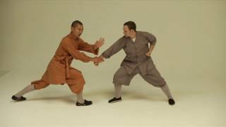 Shaolin Qin Na. Shifu Shi Yan Ti