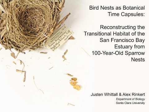 Bird Nests as Botanical Time Capsules