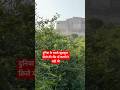 Mehrangarh fort and karni mata connection #mehrangarhfort #karnimata #beautiful #fort #heritage