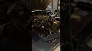 IMG 5327