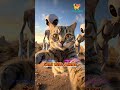 Cute Cat Selfi with Aliens #cuteanimals