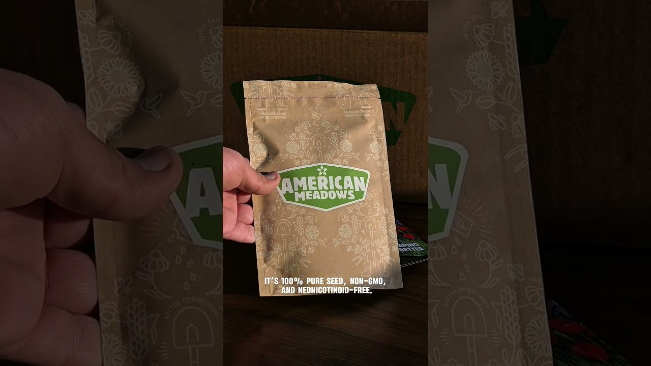 Meadowscaping Transformation | Perennial Beauty Wildflower Seed Mix