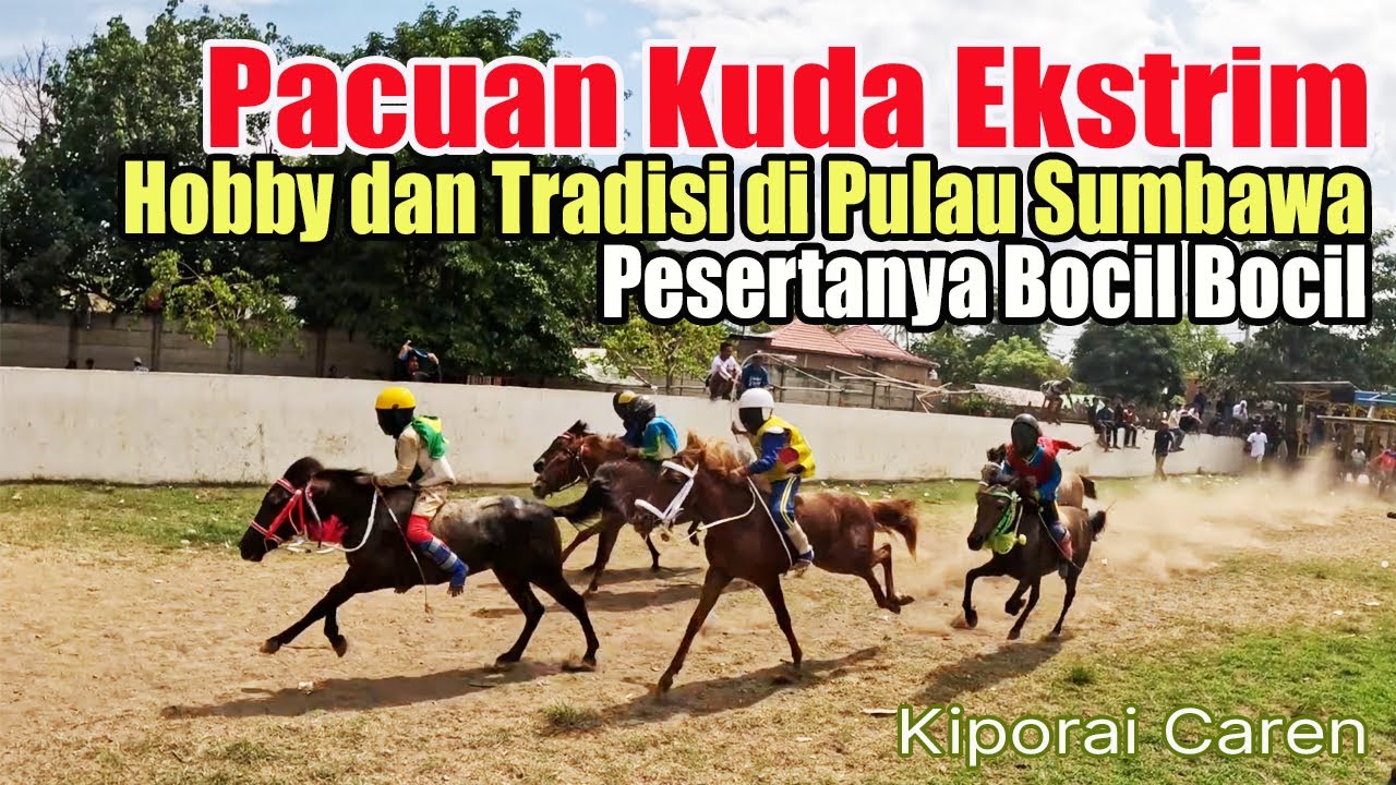 Pacuan Kuda Ekstrim Hobby dan Tradisi di Pulau Sumbawa Pesertanya Bocil Bocil #travelingindonesia