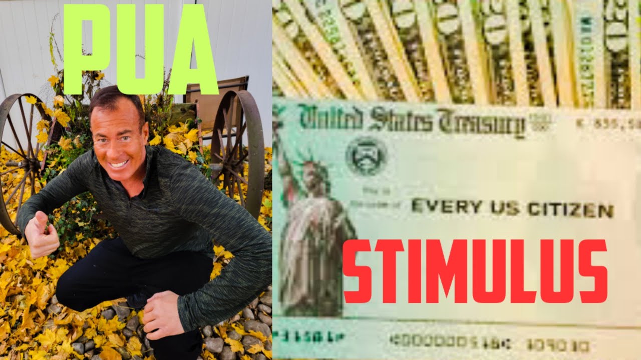 STIMULUS CHECKS FOR CHRISTMAS | PUA & UNEMPLOYMENT