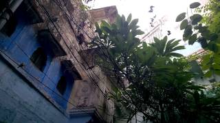 WP 20141120 17 18 36 Pro