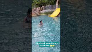 Ihhh seremmm 😱😱 #funvidio #funshort #kidsswimmingvideos #mozasaurus