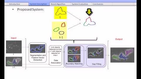 Automatic Segmentation of Interacting Cells