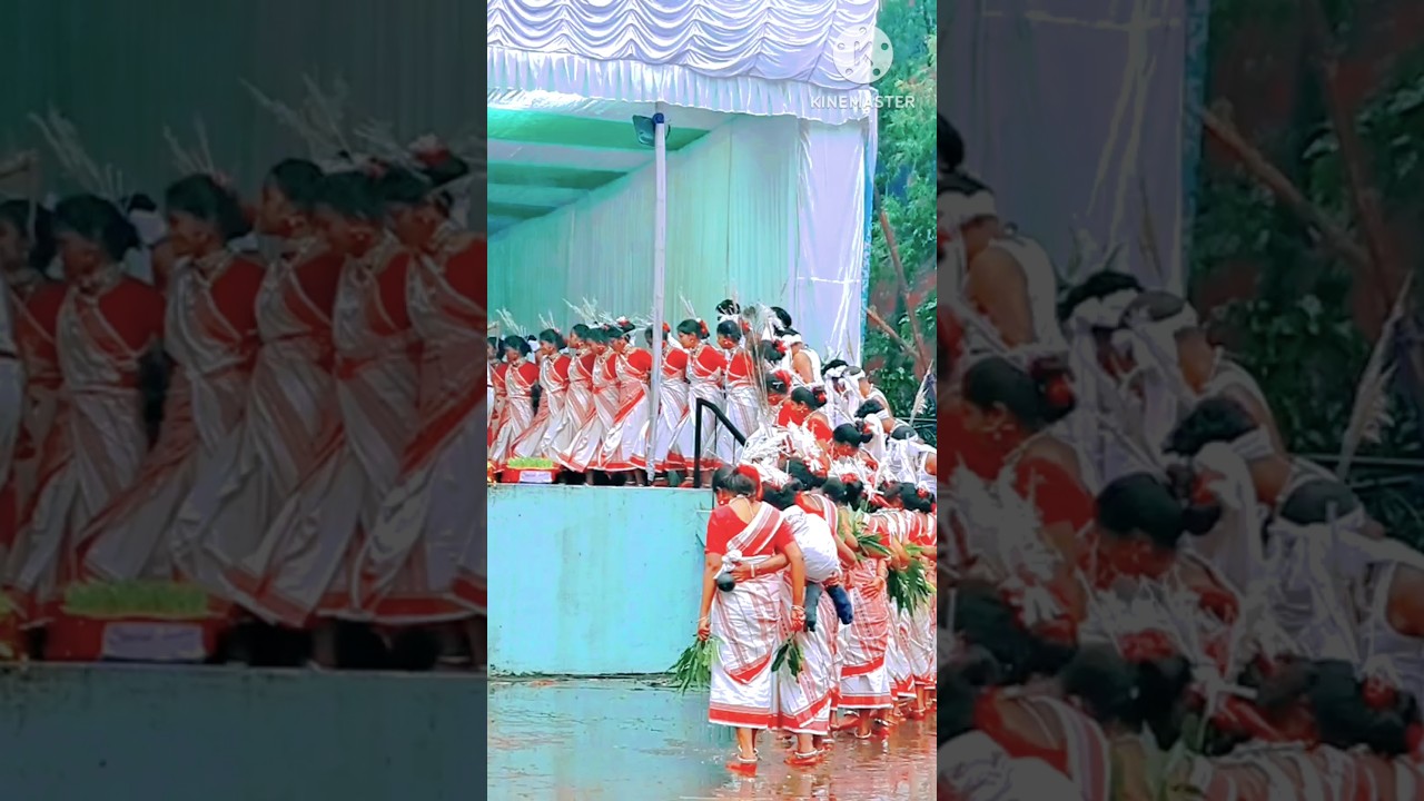 Adivasi karma dance 
