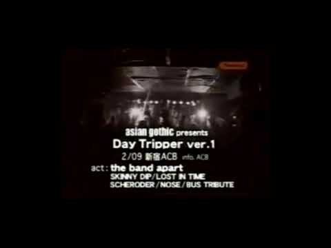 fool ploof/the band apart(LIVE)  2001