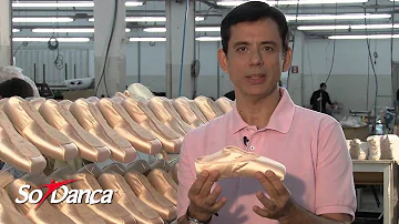 O que tem dentro de uma sapatilha de ponta?