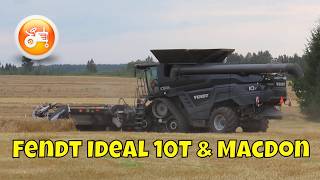 Harvest 2026 | Fendt Ideal 10 T & MacDon header