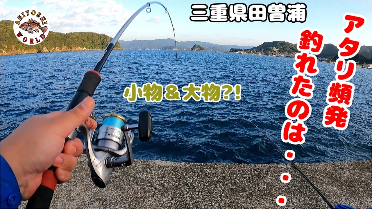 アタリ頻発 ボイル発生 サビキ 胴付き仕掛けin 三重県南伊勢 Youtube