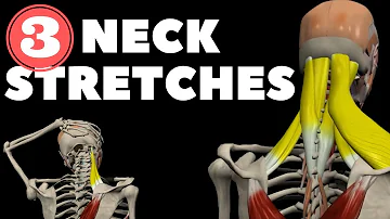 Neck Stretches for Instant pain relief