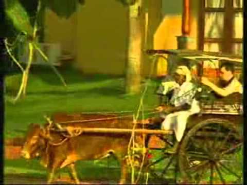 Sri Lanka Tourism 1