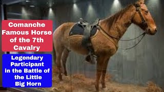 Download Lagu Comanche Legendary Horse of the Old West MP3