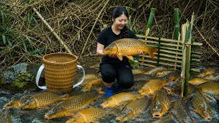 Doctor Ly Ha Giang went into seclusion in the mountains and learned how to survive in the wild.