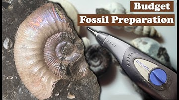 Budget Fossil Prep with Dremel Engraver