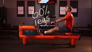 Full Orangetheory Fitness Union Station/LoDo Colorado - Rowing Machine 101 Guide