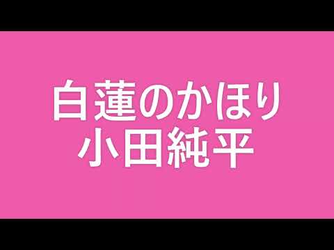 【8Kテレビ映像】【演歌新曲】2023年3月発売 演歌の応援 a [8K TV video] [New song] Released in March 2023 Support for enka a