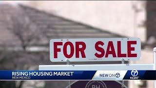 Albuquerque housing market