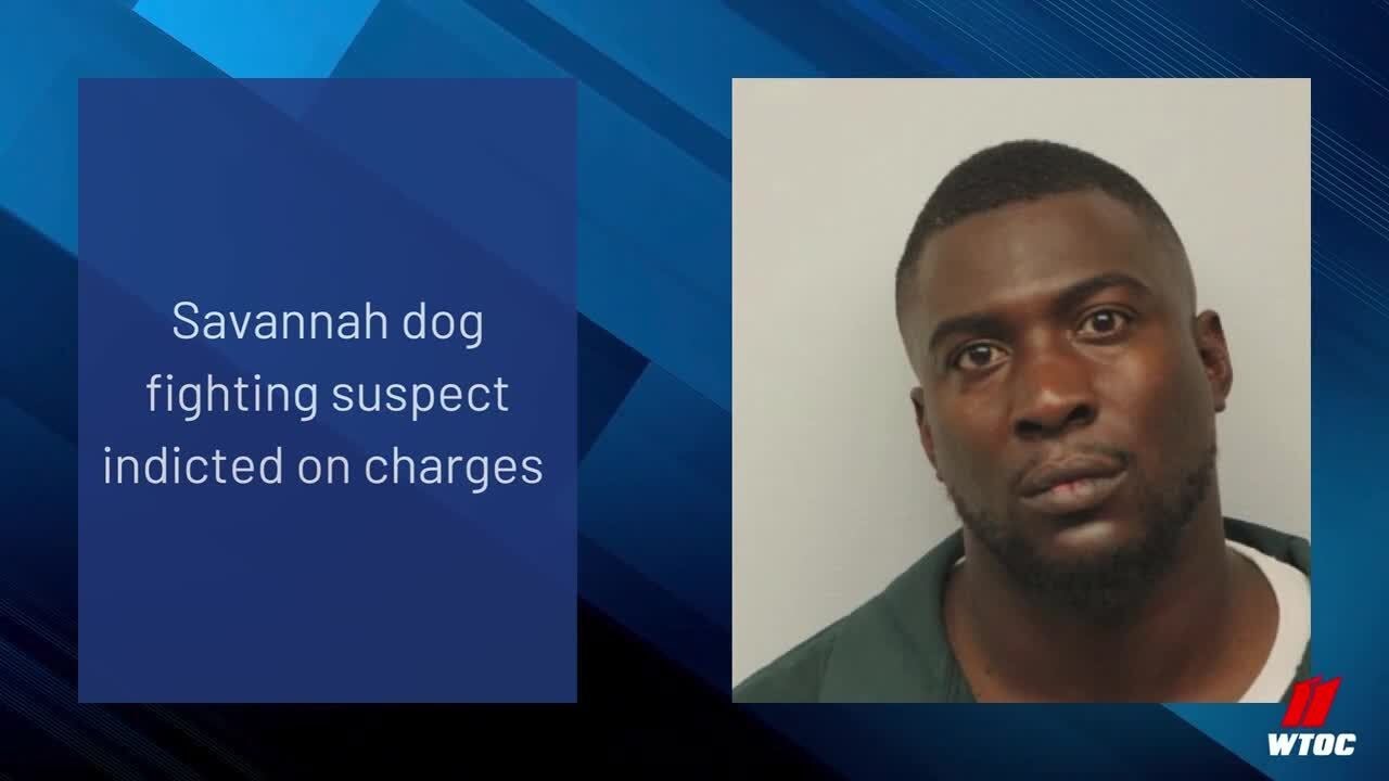 Savannah dog fighting suspect indicted on charges - YouTube