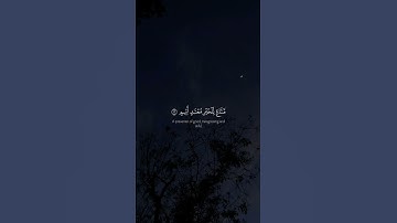 سورة القلم - الآيات 10-16 - تلاوة إسلام صبحي