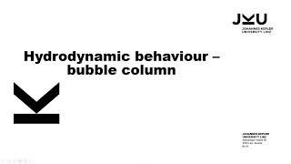 Hydrodynamic behaviour - bubble column