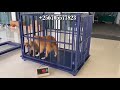 Veterinary weighing scale Digital Animal Floor Weighing Scales Pig Sheep Cattle Horse design