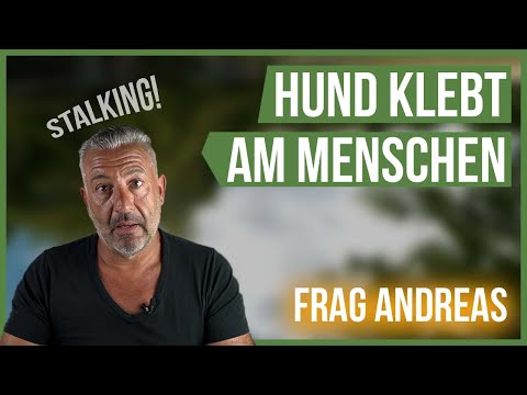 Mein Hund STALKT