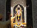 Shree Ramlalla Sarkar🌹#ayodhya #ramlala #shreeram #harerama #ramtemple #ram #aarti #shortvideo