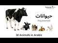 Animals In Arabic حيوانات Learn 30 Animal Names In Arabic With Audio