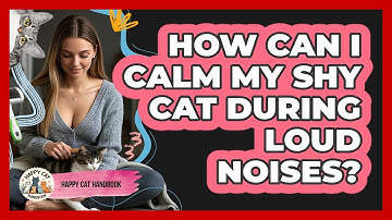 How Can I Calm My Shy Cat During Loud Noises? - Happy Cat Handbook