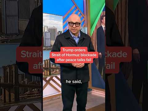 How Much Do Msnbc Contributors Make Per Appearance