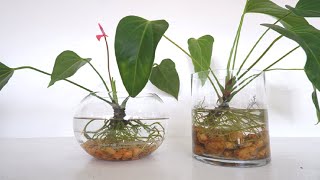indoor large pots for plants Indoor Outdoor Planter Pot  Hammered Texture