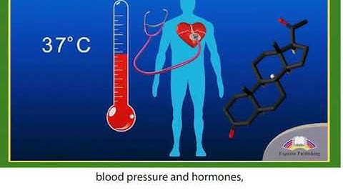 11 ACTION Module 3 Video 1  The Human Brain
