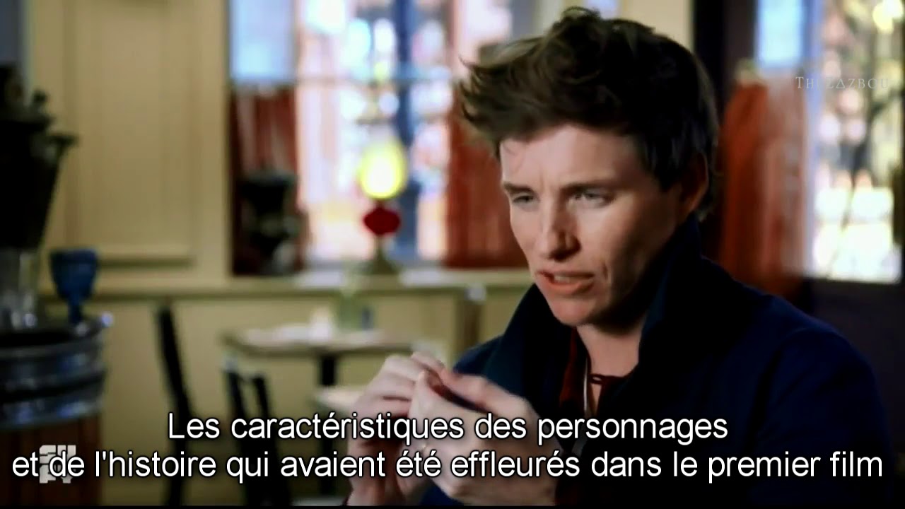 Vostfr Interviews Les Animaux Fantastiques Les Crimes