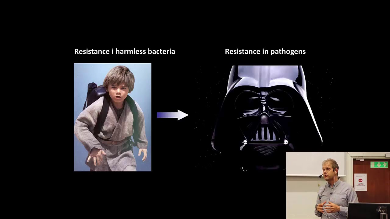 20-Evolution of ABR in the environment - YouTube