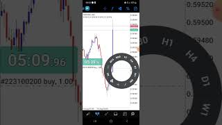 NZD RBNZ Interest Rate Decision August 2023 Fundamental Trading