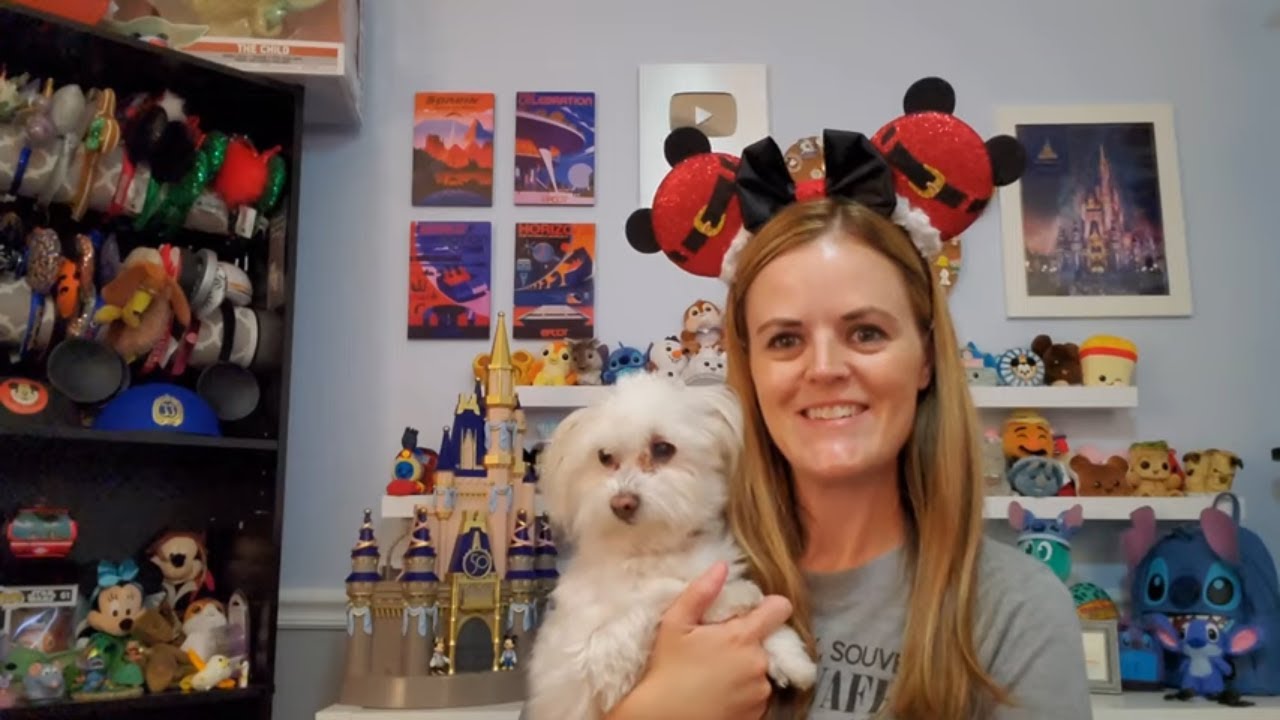 Friday Night Live Stream Announcement 11-19-21 - Walt Disney World 2021