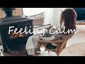 Indie, Folk, Acoustic, Chill, Sleep, Work, Study Playlist - Feeling Calm | Dreamy Music 2021