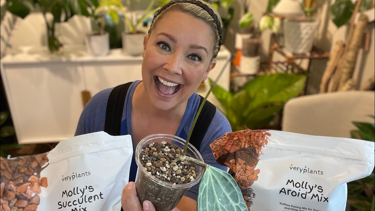 veryplants.ca - Molly’s Mix
