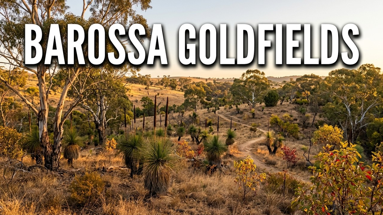 The Barossa Goldfields, South Australia, Phoenix Mine Hike Montage Part ...
