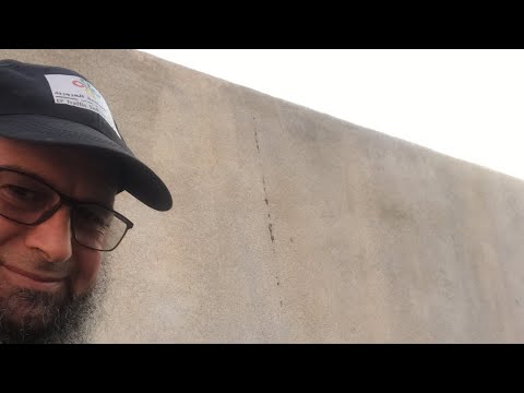 أهمية الزراعة والنباتات المنزلية